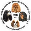 logo_duitse_cavalierclub